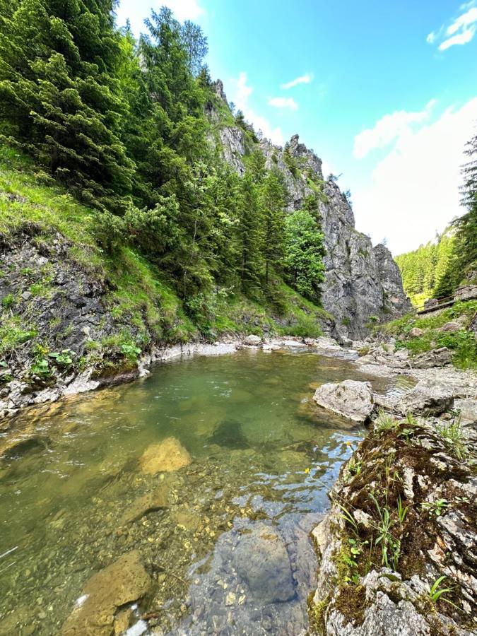 Garni Hotel Gavurky Terhely Kültér fotó